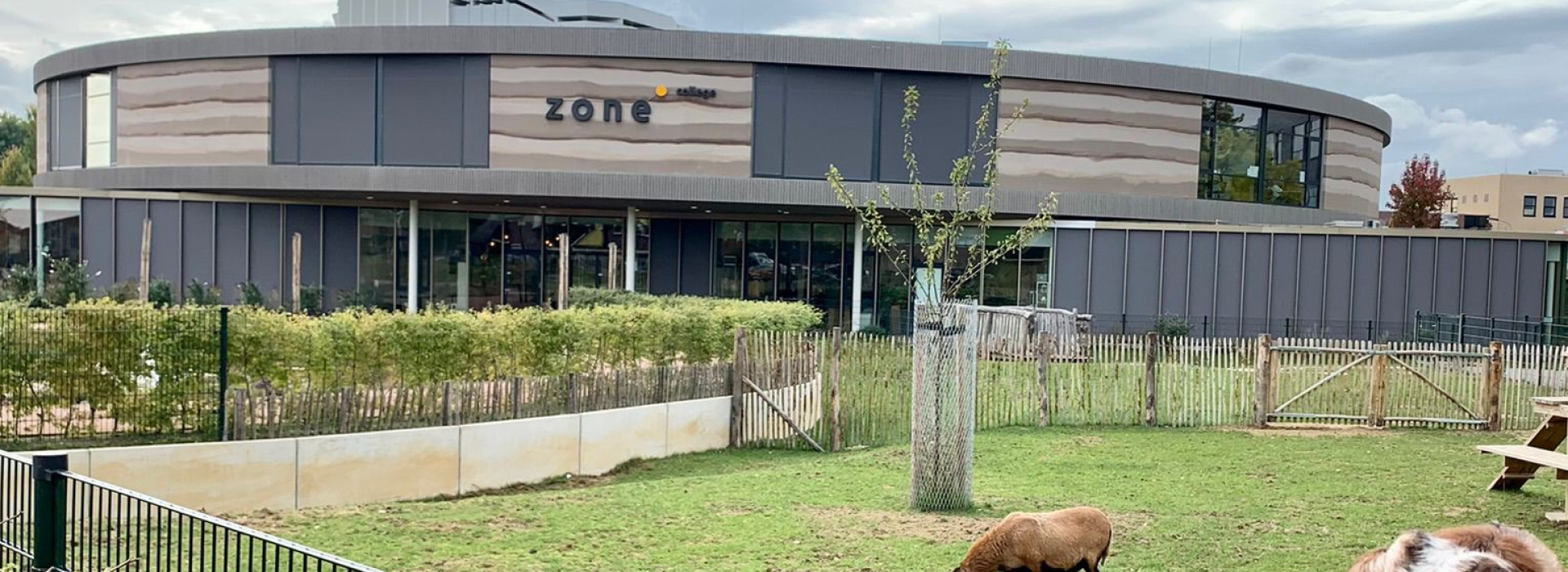 gww project Zone College Doetinchem Rouwmaat