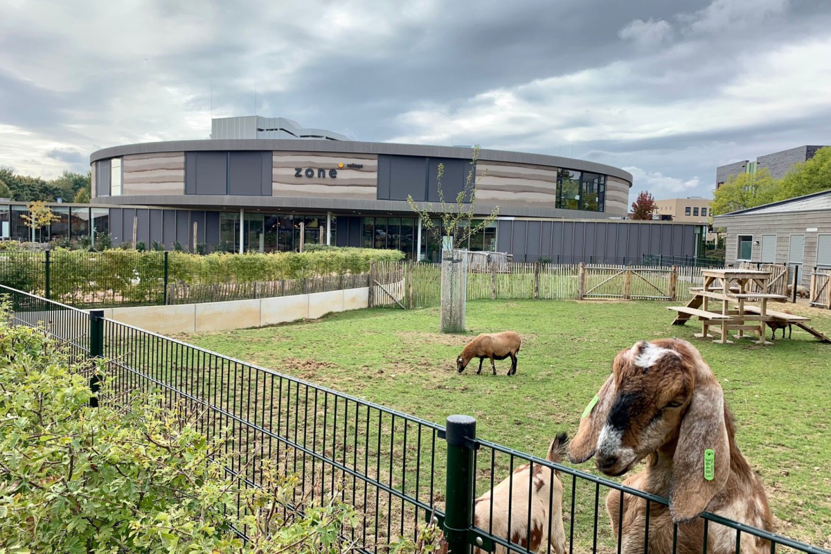 foto geit- gww-project-zone-college