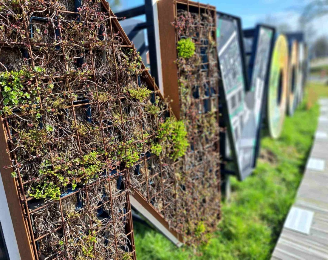 letters lichtenvoorde biodiversiteit (3)