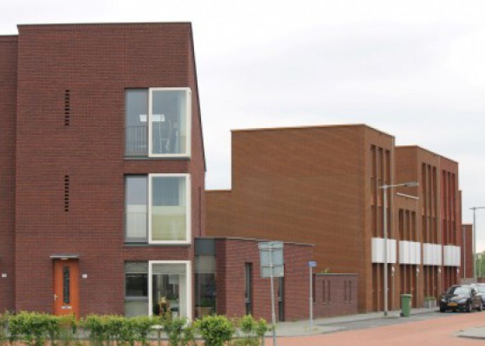 Reinbouw dieren.jfif